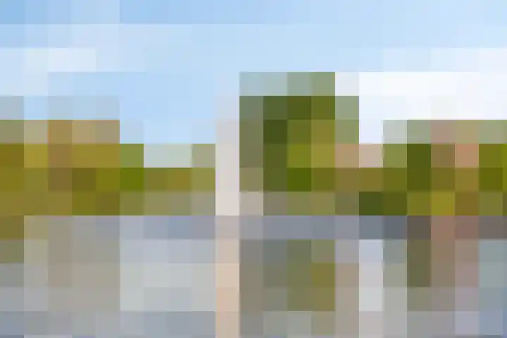 Dokter van Stratenweg 318 Gorinchem thumbnail 45