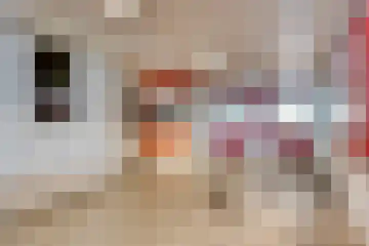Dokter van Stratenweg 318 Gorinchem thumbnail 9