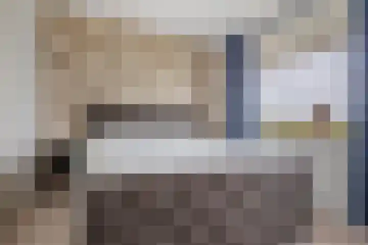 Dokter van Stratenweg 328 Gorinchem thumbnail 16