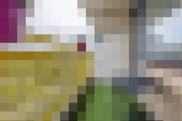 Dokter van Stratenweg 328 Gorinchem thumbnail 18