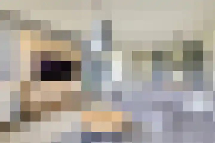 Dokter van Stratenweg 331 Gorinchem thumbnail 10