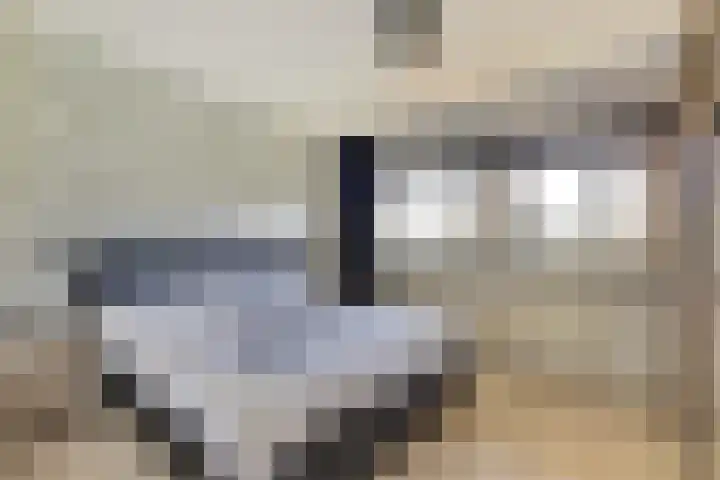 Dokter van Stratenweg 331 Gorinchem thumbnail 16