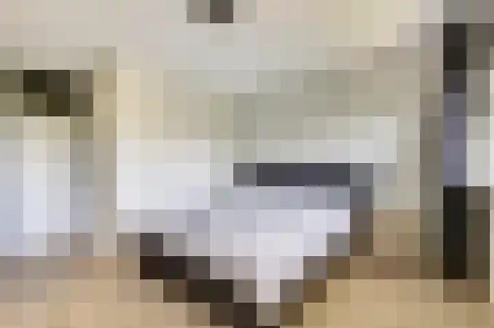 Dokter van Stratenweg 331 Gorinchem thumbnail 18