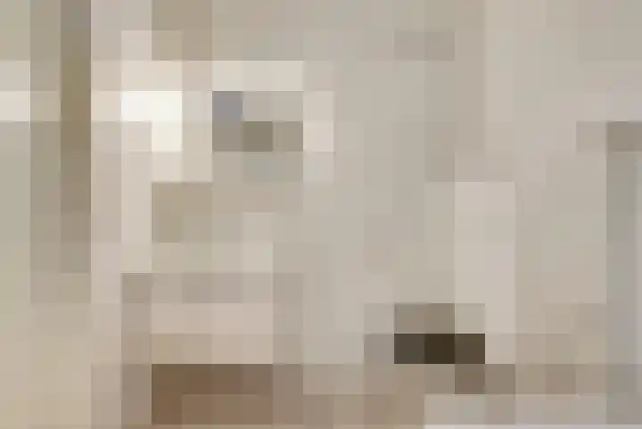 Dokter van Stratenweg 331 Gorinchem thumbnail 24