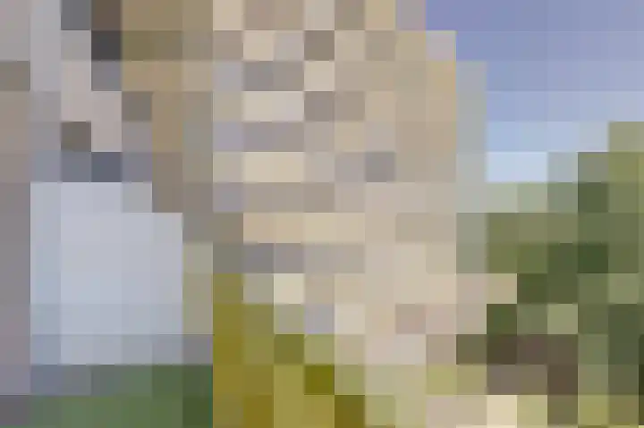 Dokter van Stratenweg 331 Gorinchem thumbnail 25