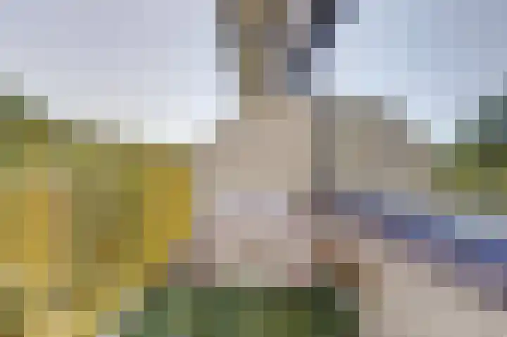 Dokter van Stratenweg 331 Gorinchem thumbnail 27
