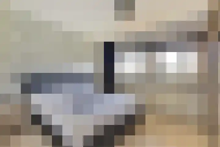 Dokter van Stratenweg 331 Gorinchem thumbnail 4