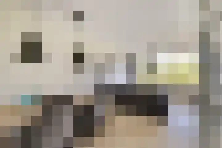 Dokter van Stratenweg 331 Gorinchem thumbnail 7
