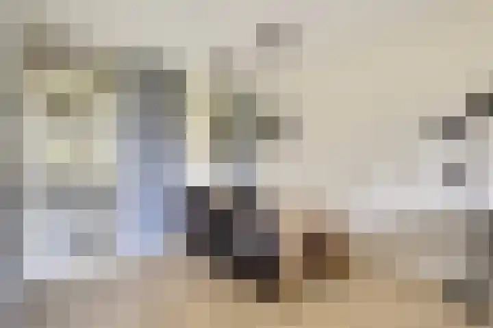 Dokter van Stratenweg 331 Gorinchem thumbnail 8