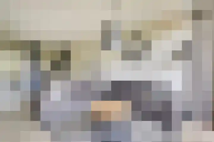 Dokter van Stratenweg 331 Gorinchem thumbnail 9