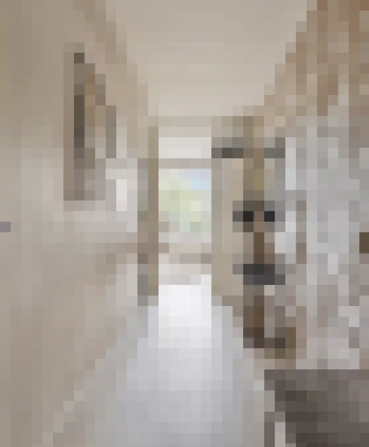 Dokter van Stratenweg 353 Gorinchem thumbnail 8