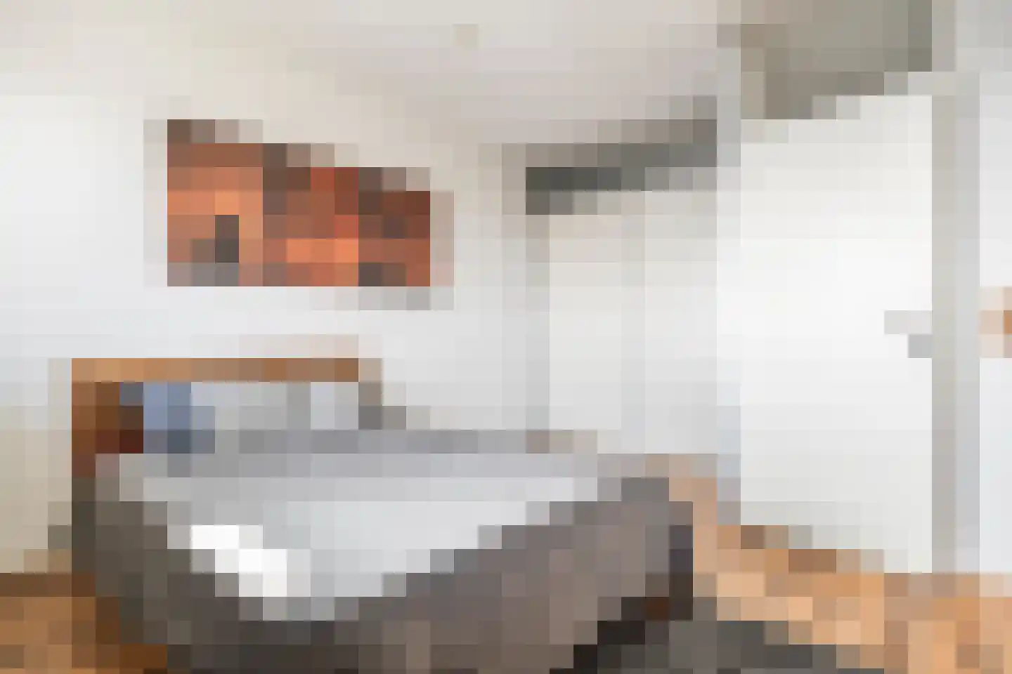 Dokter van Stratenweg 424 Gorinchem thumbnail 12