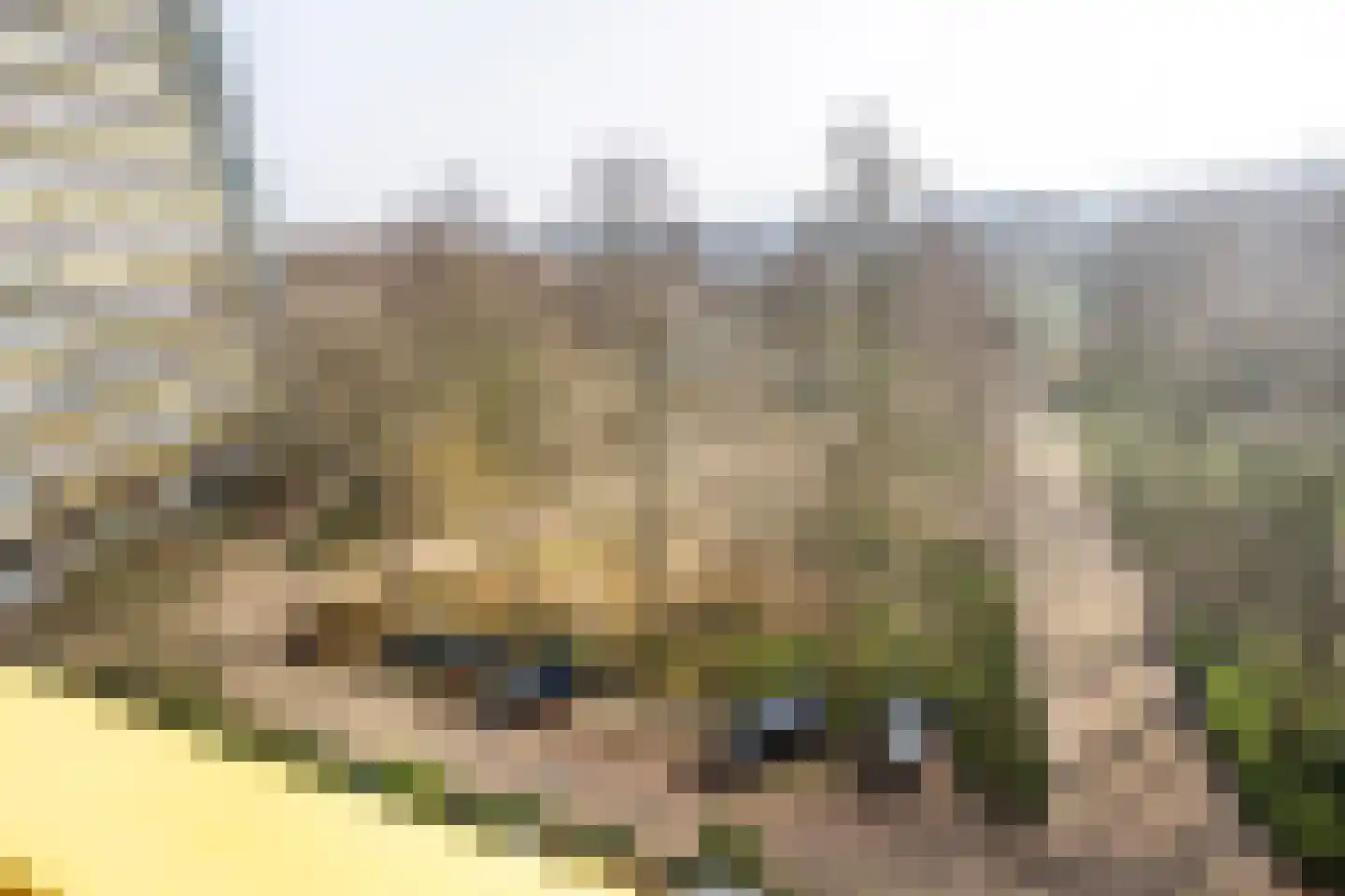 Dokter van Stratenweg 424 Gorinchem thumbnail 7