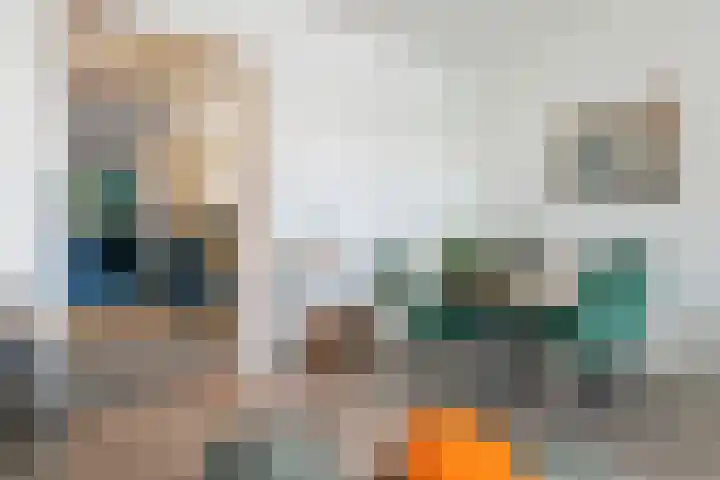 Dokter van Stratenweg 437 Gorinchem thumbnail 12