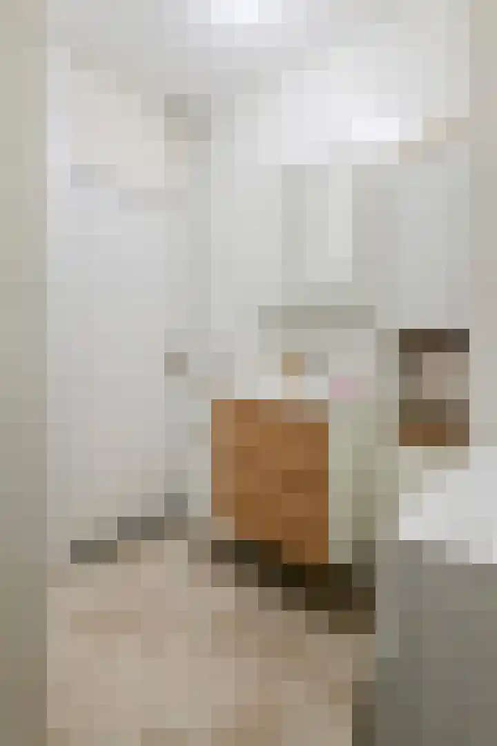 Dokter van Stratenweg 437 Gorinchem thumbnail 19
