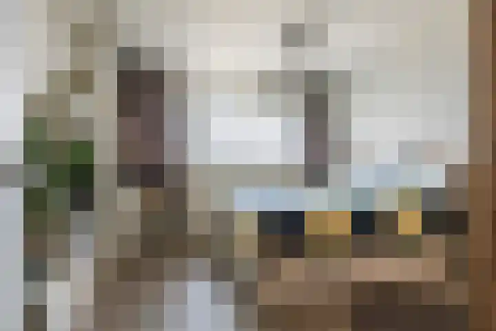 Dokter van Stratenweg 437 Gorinchem thumbnail 22