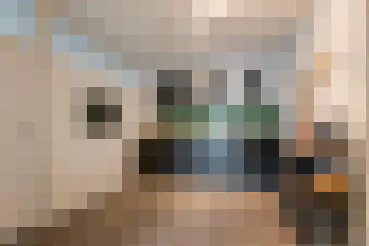 Dokter van Stratenweg 437 Gorinchem foto 3