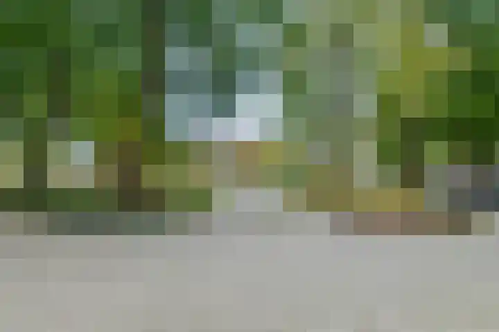 Dokter van Stratenweg 437 Gorinchem thumbnail 31