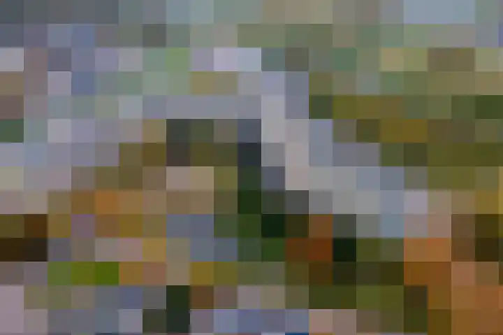 Dokter van Stratenweg 437 Gorinchem thumbnail 34