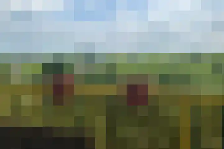 Dokter van Stratenweg 450 Gorinchem thumbnail 10