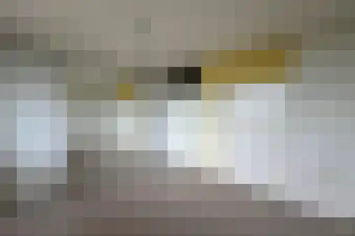 Dokter van Stratenweg 450 Gorinchem thumbnail 13