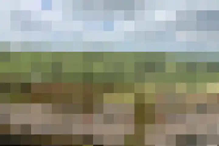 Dokter van Stratenweg 450 Gorinchem thumbnail 14