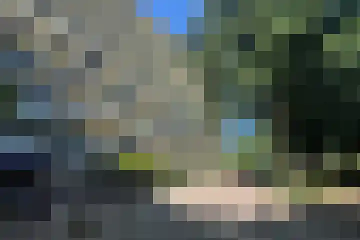 Dokter van Stratenweg 450 Gorinchem thumbnail 20