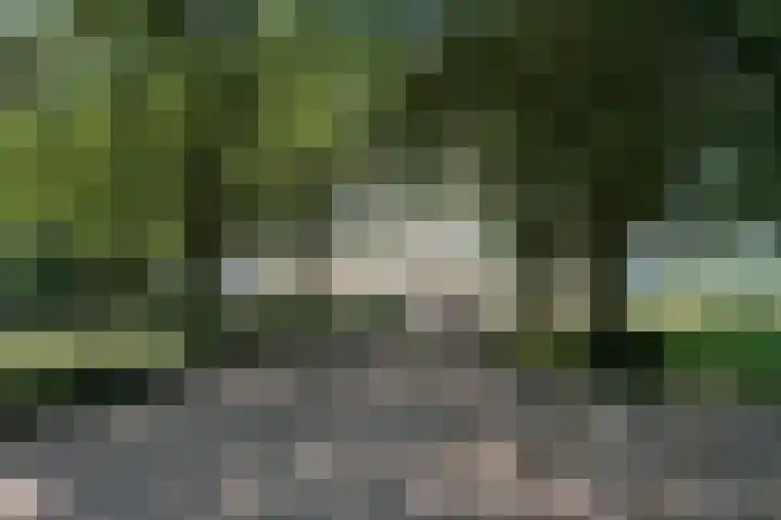 Dokter van Stratenweg 450 Gorinchem thumbnail 24