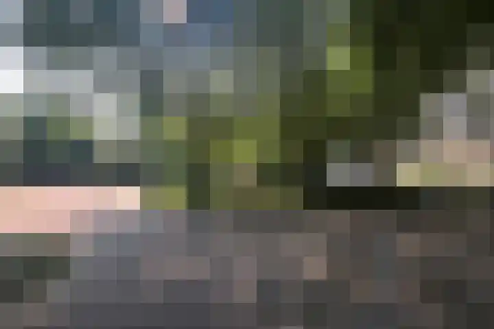 Dokter van Stratenweg 450 Gorinchem thumbnail 25