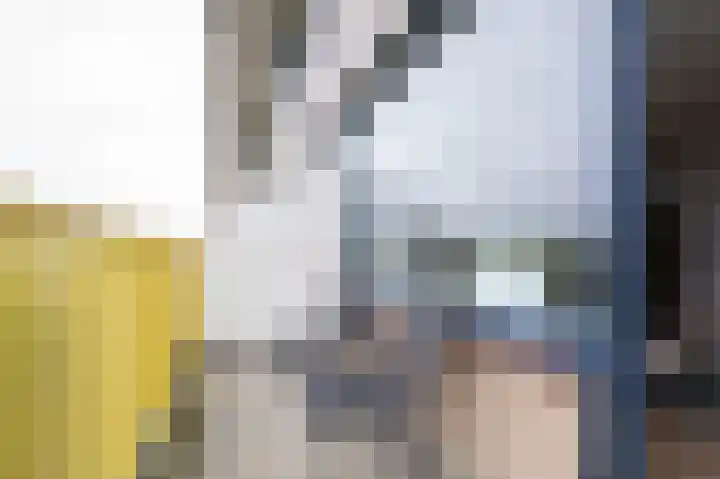 Dokter van Stratenweg 563 Gorinchem thumbnail 12