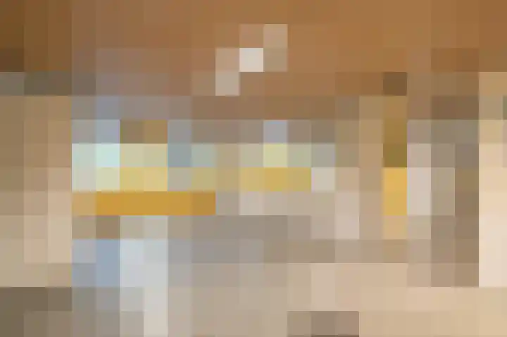 Dokter van Stratenweg 563 Gorinchem thumbnail 32