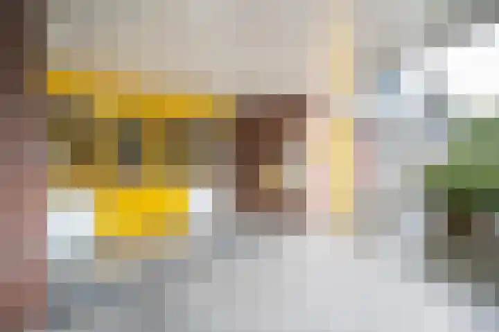 Dokter van Stratenweg 563 Gorinchem thumbnail 33