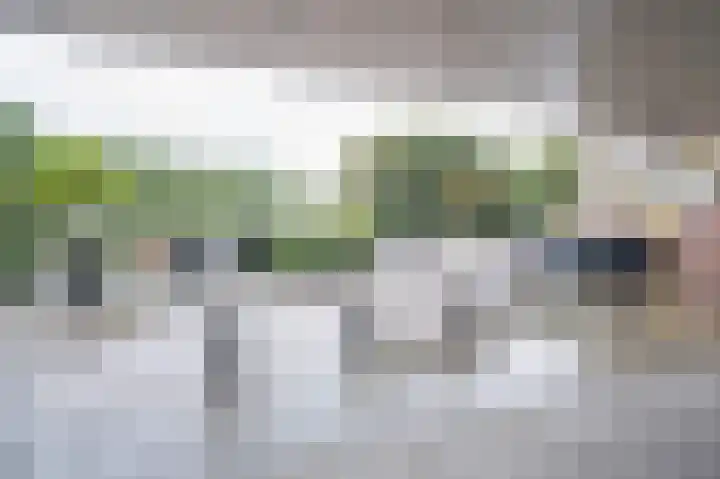 Dokter van Stratenweg 563 Gorinchem thumbnail 34