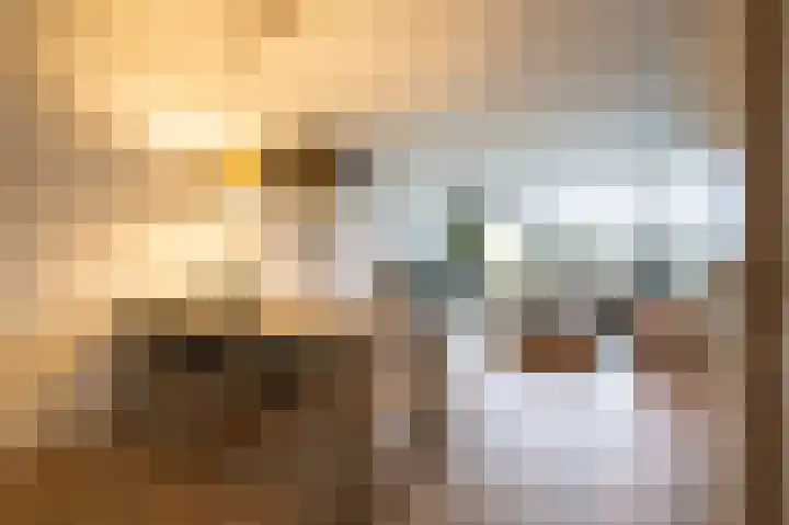 Dokter van Stratenweg 563 Gorinchem thumbnail 5