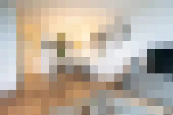 Dokter van Stratenweg 563 Gorinchem thumbnail 6