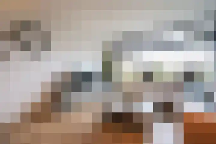 Dokter van Stratenweg 563 Gorinchem thumbnail 9