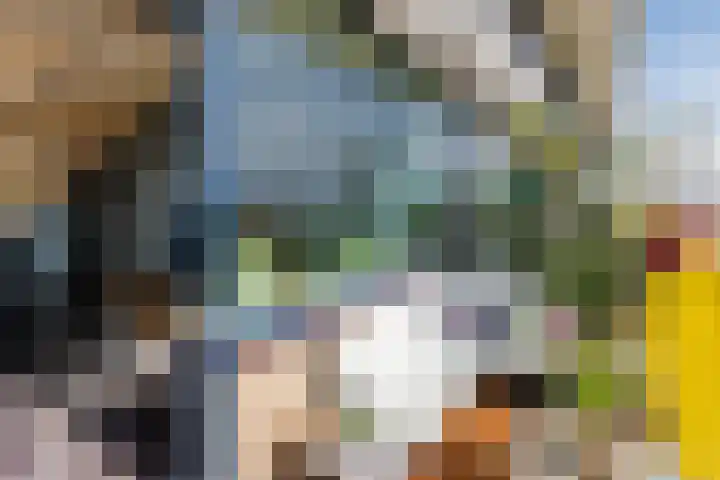 Dokter van Stratenweg 648 Gorinchem thumbnail 12