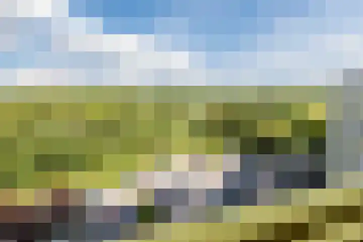 Dokter van Stratenweg 648 Gorinchem thumbnail 14