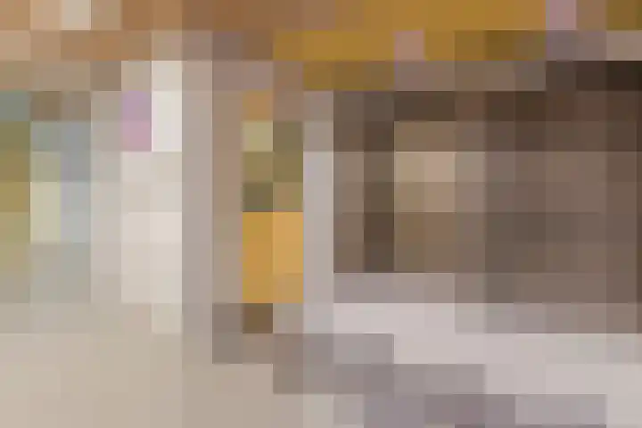 Dokter van Stratenweg 648 Gorinchem thumbnail 16