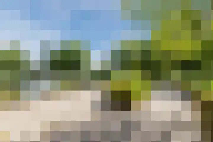 Dokter van Stratenweg 648 Gorinchem thumbnail 17