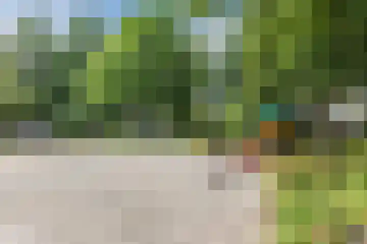 Dokter van Stratenweg 648 Gorinchem thumbnail 18