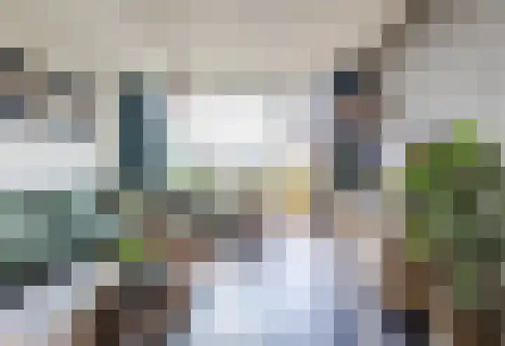 Dokter van Stratenweg 648 Gorinchem thumbnail 4