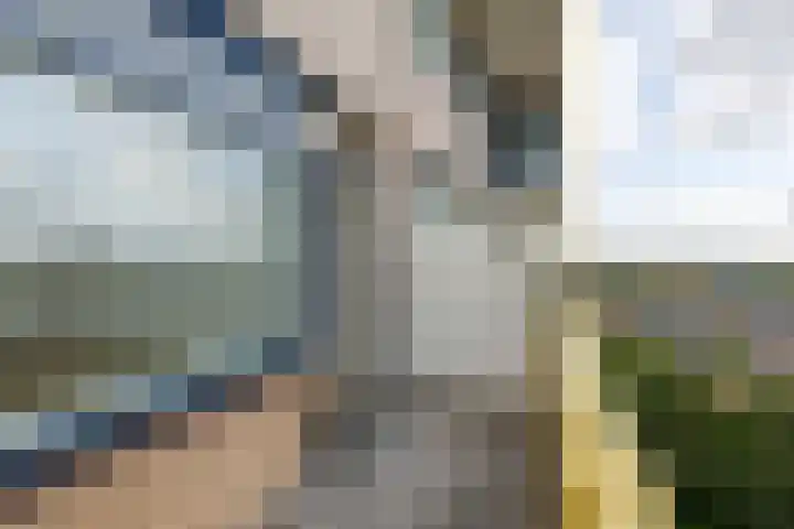 Dokter van Stratenweg 651 Gorinchem thumbnail 17
