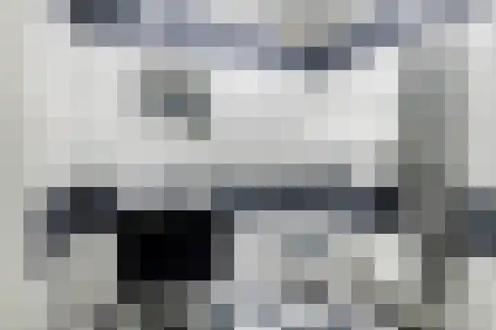 Dokter van Stratenweg 651 Gorinchem thumbnail 20