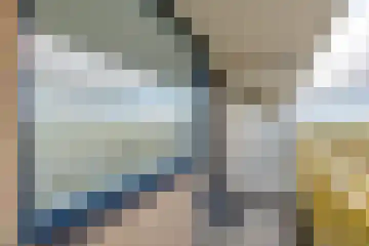 Dokter van Stratenweg 651 Gorinchem thumbnail 27