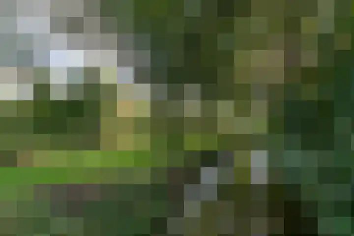 Dokter van Stratenweg 651 Gorinchem thumbnail 31