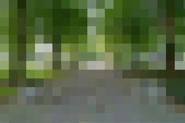 Dokter van Stratenweg 651 Gorinchem thumbnail 32