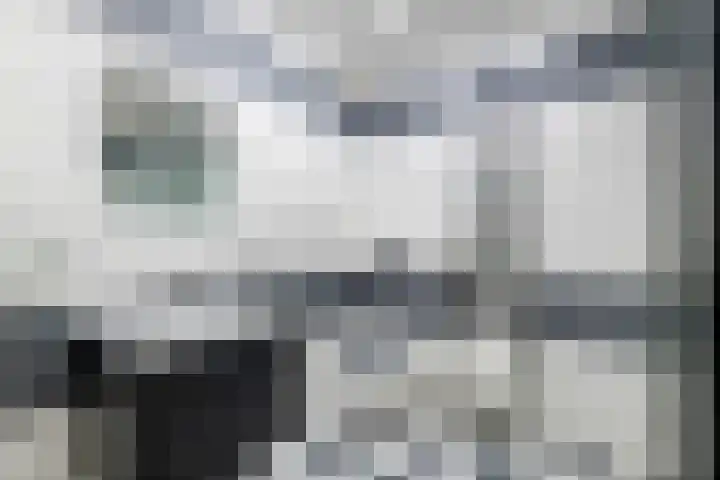 Dokter van Stratenweg 651 Gorinchem thumbnail 4