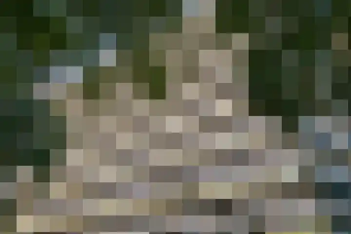 Dokter van Stratenweg 651 Gorinchem thumbnail 7