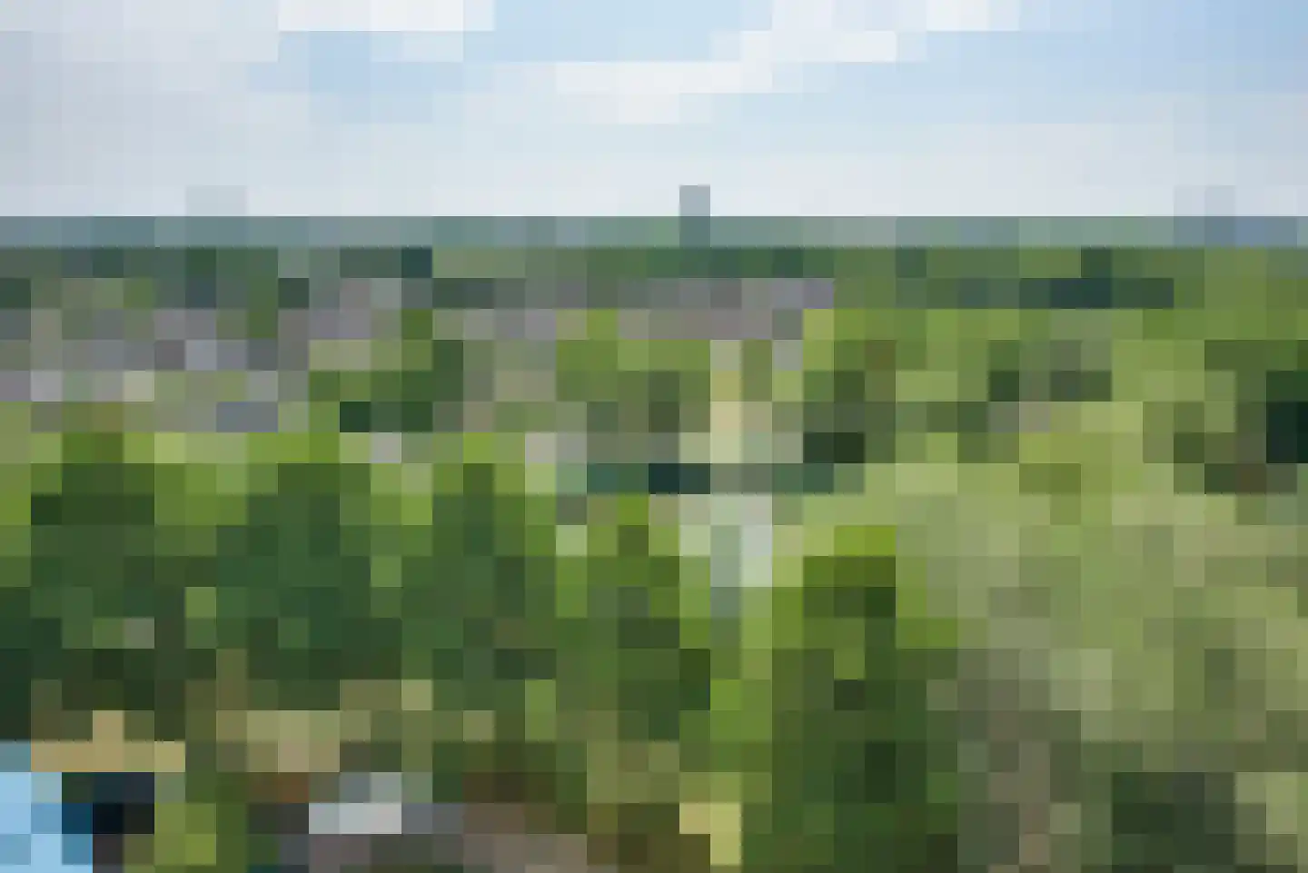 Dokter van Stratenweg 653 Gorinchem thumbnail 18